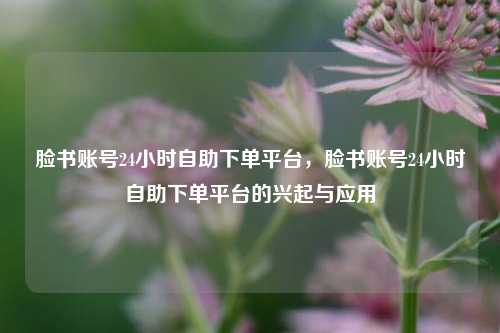 脸书账号24小时自助下单平台，脸书账号24小时自助下单平台的兴起与应用
