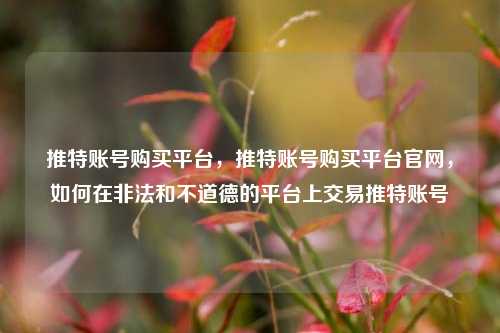 推特账号购买平台，推特账号购买平台官网，如何在非法和不道德的平台上交易推特账号