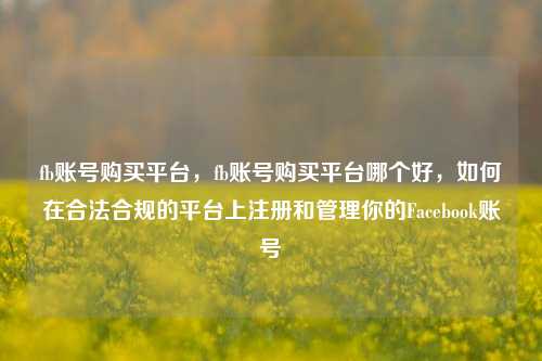 fb账号购买平台，fb账号购买平台哪个好，如何在合法合规的平台上注册和管理你的Facebook账号