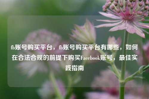 fb账号购买平台，fb账号购买平台有哪些，如何在合法合规的前提下购买Facebook账号，最佳实践指南