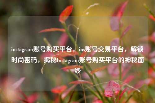instagram账号购买平台	，ins账号交易平台，解锁时尚密码，揭秘Instagram账号购买平台的神秘面纱  第1张