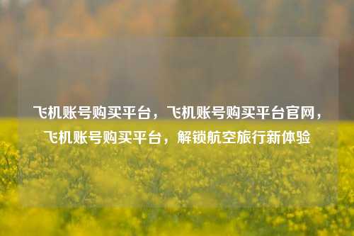 飞机账号购买平台	，飞机账号购买平台官网，飞机账号购买平台，解锁航空旅行新体验  第1张