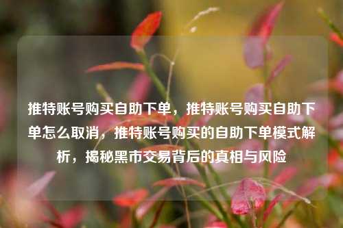推特账号购买自助下单，推特账号购买自助下单怎么取消	，推特账号购买的自助下单模式解析，揭秘黑市交易背后的真相与风险  第1张