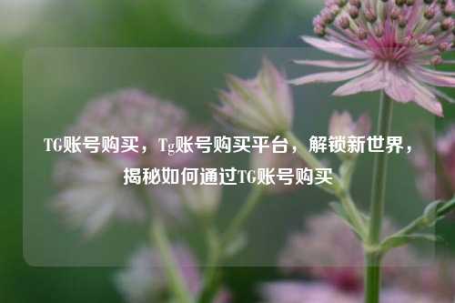 TG账号购买，Tg账号购买平台，解锁新世界，揭秘如何通过TG账号购买