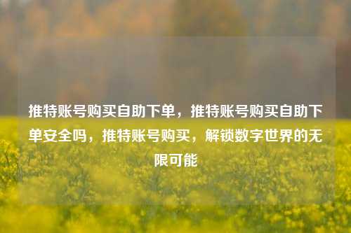 推特账号购买自助下单，推特账号购买自助下单安全吗，推特账号购买，解锁数字世界的无限可能