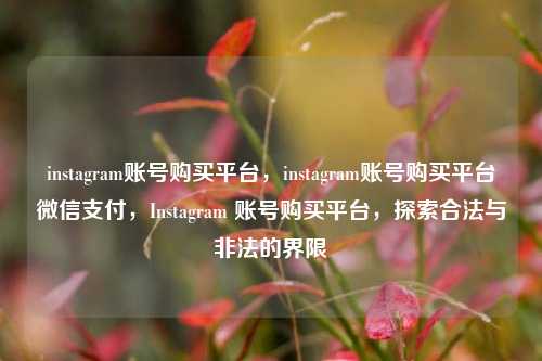 instagram账号购买平台，instagram账号购买平台微信支付，Instagram 账号购买平台，探索合法与非法的界限