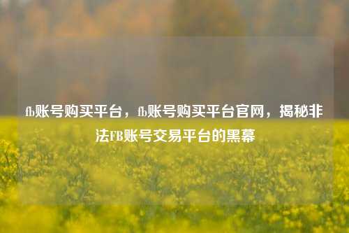 fb账号购买平台，fb账号购买平台官网，揭秘非法FB账号交易平台的黑幕