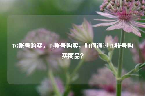 TG账号购买，Tg账号购买，如何通过TG账号购买商品？  第1张