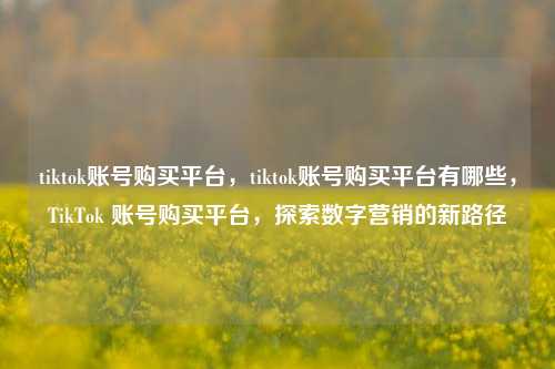 tiktok账号购买平台，tiktok账号购买平台有哪些，TikTok 账号购买平台，探索数字营销的新路径