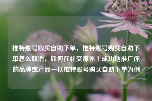推特账号购买自助下单，推特账号购买自助下单怎么取消，如何在社交媒体上成功地推广你的品牌或产品—以推特账号购买自助下单为例