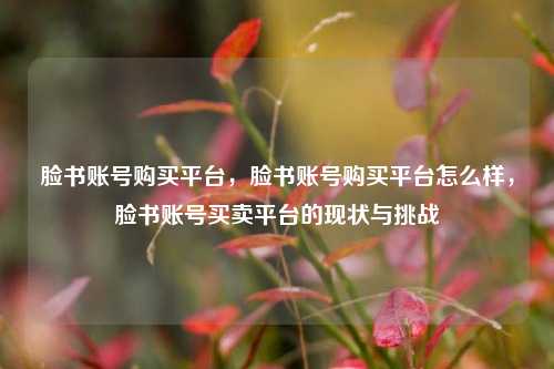 脸书账号购买平台	，脸书账号购买平台怎么样，脸书账号买卖平台的现状与挑战  第1张