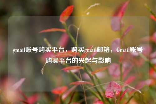 gmail账号购买平台	，购买gmail邮箱，Gmail账号购买平台的兴起与影响  第1张