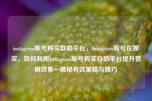 instagram账号购买自助平台	，instagram账号在哪买，如何利用Instagram账号购买自助平台提升营销效果—揭秘有效策略与技巧  第1张
