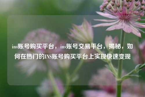 ins账号购买平台，ins账号交易平台	，揭秘，如何在热门的INS账号购买平台上实现快速变现  第1张
