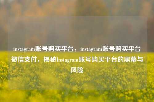 instagram账号购买平台，instagram账号购买平台微信支付，揭秘Instagram账号购买平台的黑幕与风险  第1张