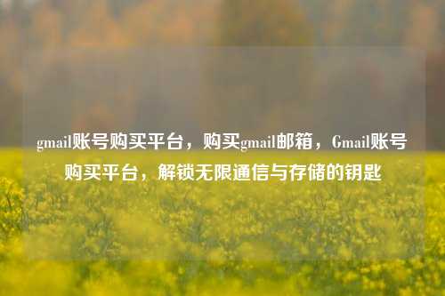 gmail账号购买平台，购买gmail邮箱，Gmail账号购买平台，解锁无限通信与存储的钥匙