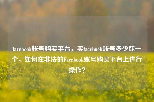 facebook帐号购买平台，买facebook账号多少钱一个，如何在非法的Facebook账号购买平台上进行操作？
