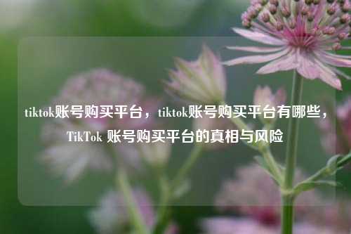 tiktok账号购买平台，tiktok账号购买平台有哪些	，TikTok 账号购买平台的真相与风险  第1张