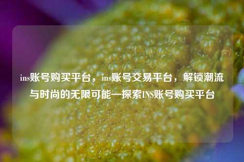 ins账号购买平台	，ins账号交易平台，解锁潮流与时尚的无限可能—探索INS账号购买平台  第1张