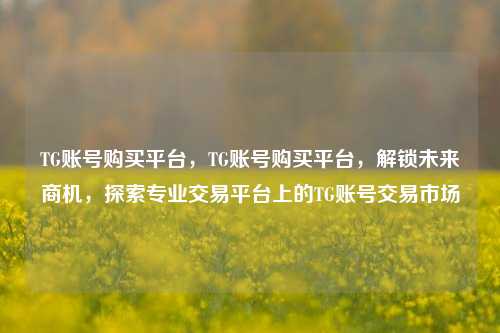 TG账号购买平台，TG账号购买平台，解锁未来商机，探索专业交易平台上的TG账号交易市场