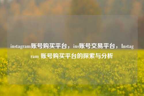 instagram账号购买平台，ins账号交易平台	，Instagram 账号购买平台的探索与分析  第1张
