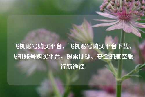 飞机账号购买平台，飞机账号购买平台下载，飞机账号购买平台，探索便捷、安全的航空旅行新途径