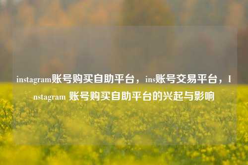 instagram账号购买自助平台，ins账号交易平台，Instagram 账号购买自助平台的兴起与影响