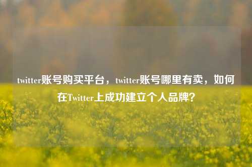 twitter账号购买平台，twitter账号哪里有卖，如何在Twitter上成功建立个人品牌？