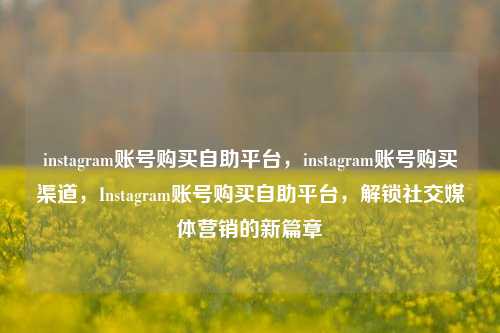 instagram账号购买自助平台，instagram账号购买渠道，Instagram账号购买自助平台，解锁社交媒体营销的新篇章