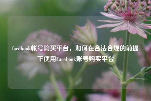 facebook帐号购买平台，如何在合法合规的前提下使用Facebook账号购买平台  第1张