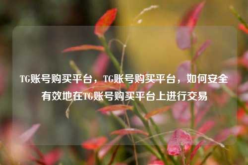 TG账号购买平台，TG账号购买平台，如何安全有效地在TG账号购买平台上进行交易