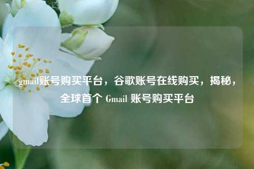 gmail账号购买平台，谷歌账号在线购买，揭秘	，全球首个 Gmail 账号购买平台  第1张