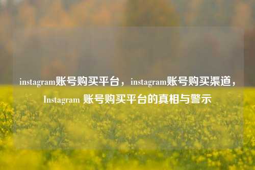 instagram账号购买平台，instagram账号购买渠道，Instagram 账号购买平台的真相与警示