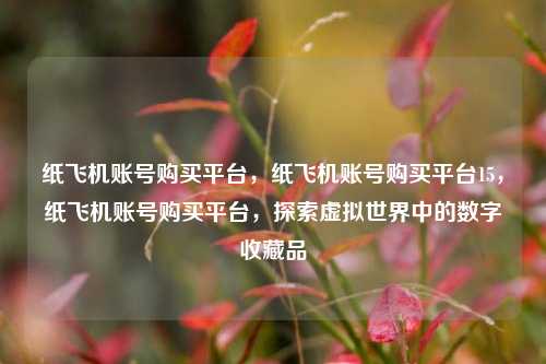 纸飞机账号购买平台，纸飞机账号购买平台15，纸飞机账号购买平台，探索虚拟世界中的数字收藏品