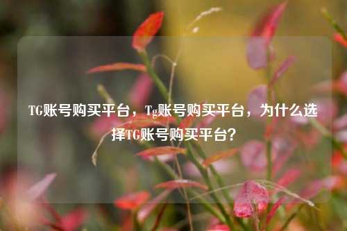 TG账号购买平台	，Tg账号购买平台，为什么选择TG账号购买平台？  第1张