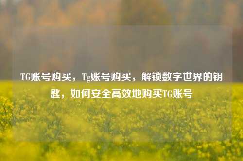 TG账号购买，Tg账号购买	，解锁数字世界的钥匙，如何安全高效地购买TG账号  第1张
