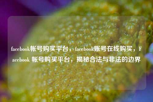 facebook帐号购买平台，facebook账号在线购买，Facebook 帐号购买平台，揭秘合法与非法的边界