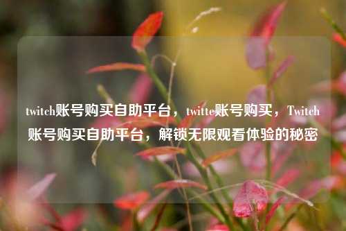twitch账号购买自助平台，twitte账号购买，Twitch账号购买自助平台，解锁无限观看体验的秘密