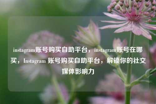 instagram账号购买自助平台，instagram账号在哪买，Instagram 账号购买自助平台	，解锁你的社交媒体影响力  第1张