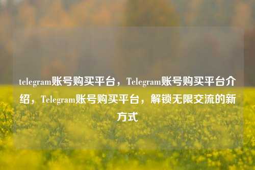 telegram账号购买平台，Telegram账号购买平台介绍，Telegram账号购买平台，解锁无限交流的新方式