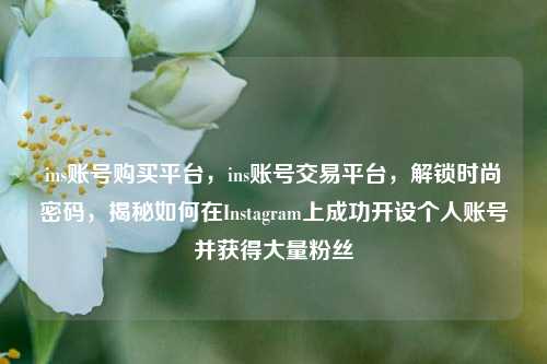 ins账号购买平台，ins账号交易平台，解锁时尚密码，揭秘如何在Instagram上成功开设个人账号并获得大量粉丝