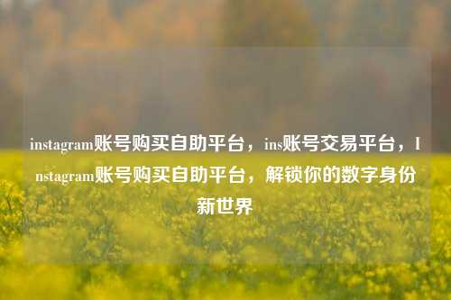 instagram账号购买自助平台，ins账号交易平台，Instagram账号购买自助平台	，解锁你的数字身份新世界  第1张
