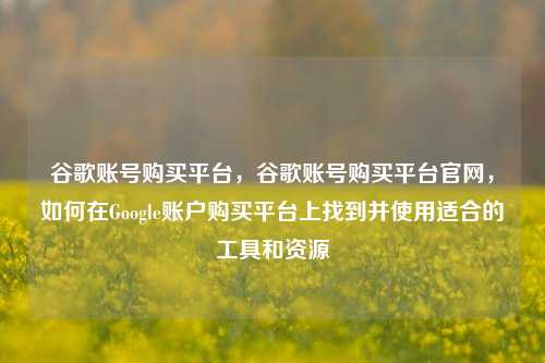 谷歌账号购买平台，谷歌账号购买平台官网，如何在Google账户购买平台上找到并使用适合的工具和资源