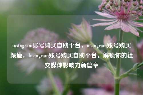 instagram账号购买自助平台，instagram账号购买渠道，Instagram账号购买自助平台，解锁你的社交媒体影响力新篇章