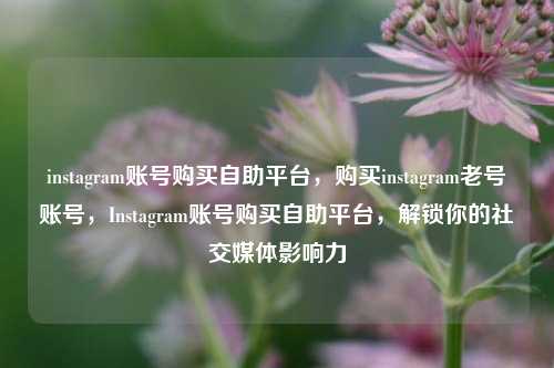 instagram账号购买自助平台，购买instagram老号账号，Instagram账号购买自助平台，解锁你的社交媒体影响力
