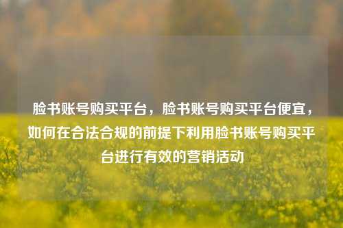 脸书账号购买平台，脸书账号购买平台便宜，如何在合法合规的前提下利用脸书账号购买平台进行有效的营销活动