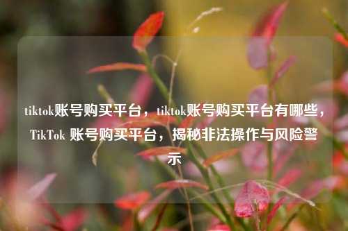 tiktok账号购买平台，tiktok账号购买平台有哪些，TikTok 账号购买平台，揭秘非法操作与风险警示