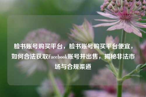 脸书账号购买平台，脸书账号购买平台便宜，如何合法获取Facebook账号并出售，揭秘非法市场与合规渠道