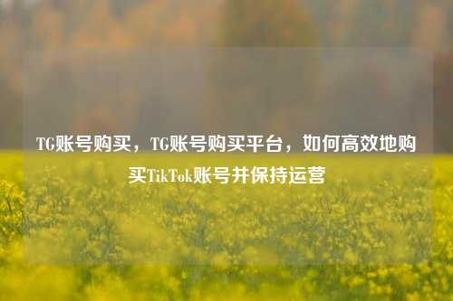 TG账号购买，TG账号购买平台	，如何高效地购买TikTok账号并保持运营  第1张