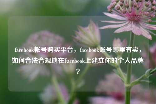 facebook帐号购买平台，facebook账号哪里有卖，如何合法合规地在Facebook上建立你的个人品牌？